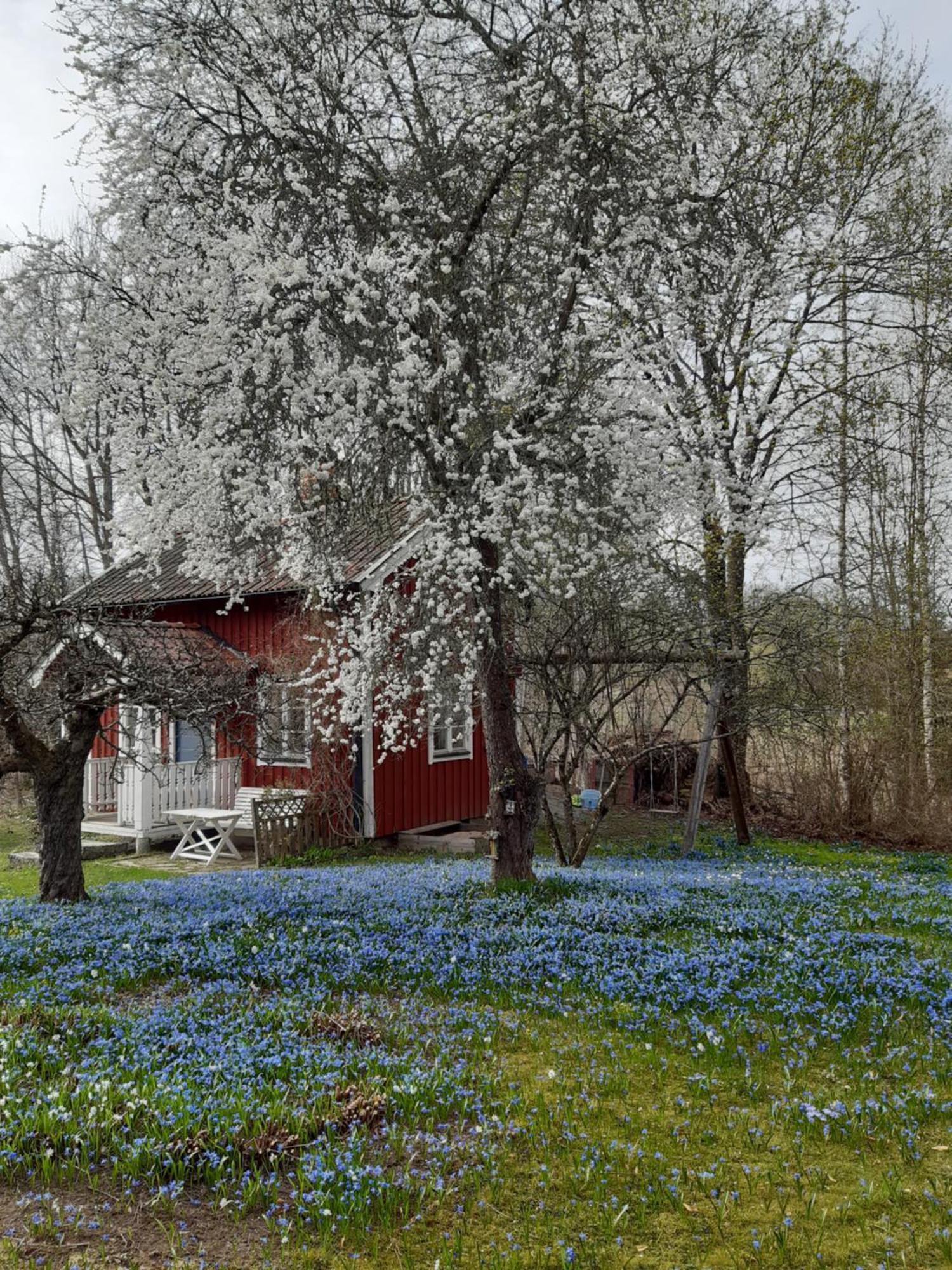 Roeda Stugan Pa Slinken Сала Экстерьер фото